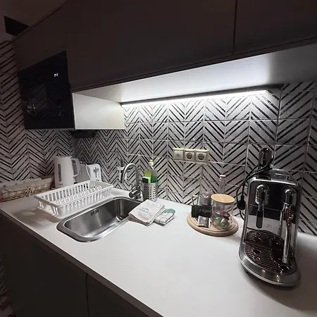 Designer Luxury & Next To The Synagogue Daire Budapeşte